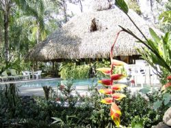 Pool view at Hotel La Palapa Ecolodge Resort